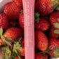 Strawberry Tinted Lip balm